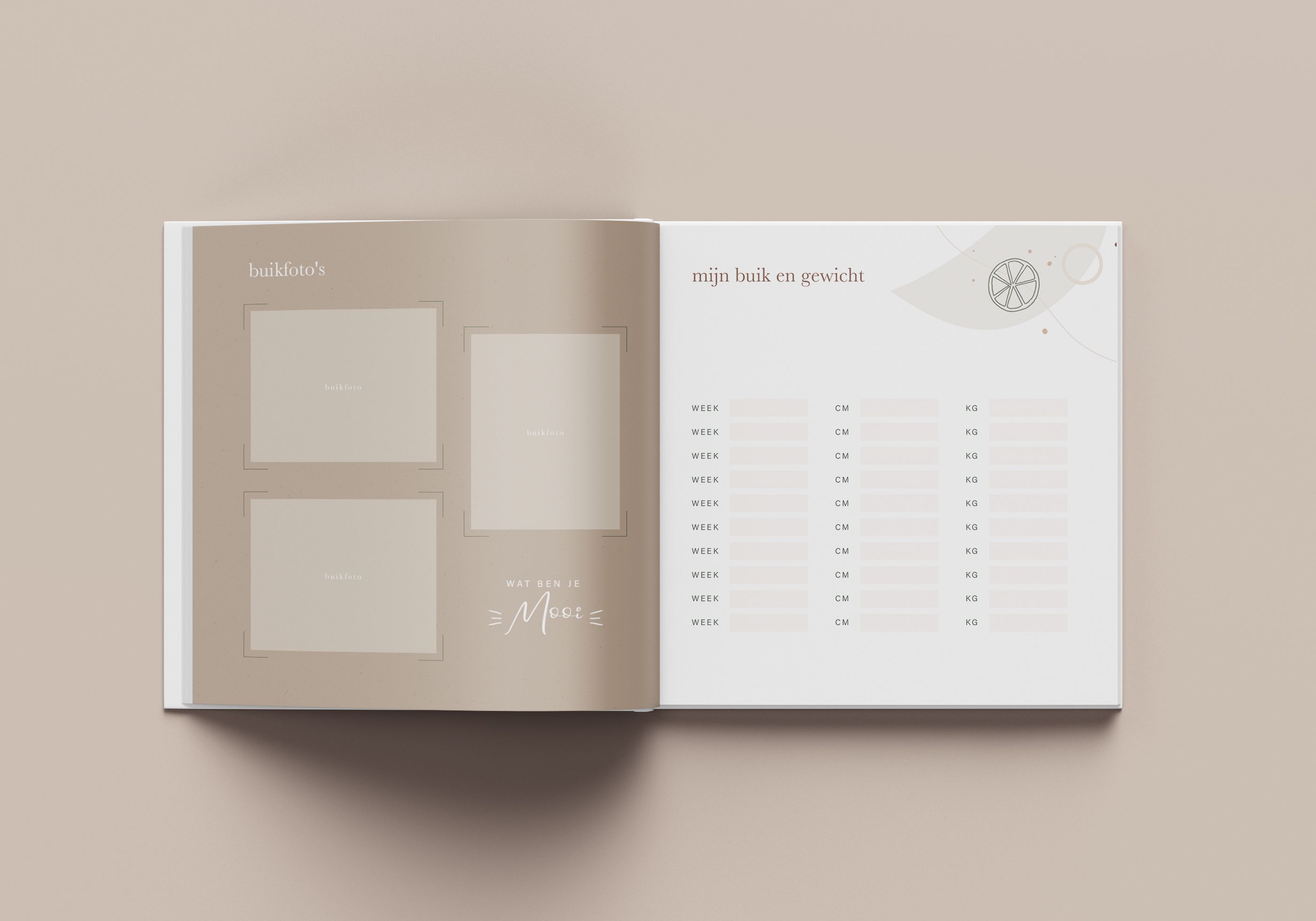 Zwangerschapsdagboekplanner – wekelijkse zwangerschapsorganisatoren | Zwangerschapsplanner, zwangerschapsdagboek, herinneringsdagboek voor het documenteren van zwangerschapsherinneringen, Pla